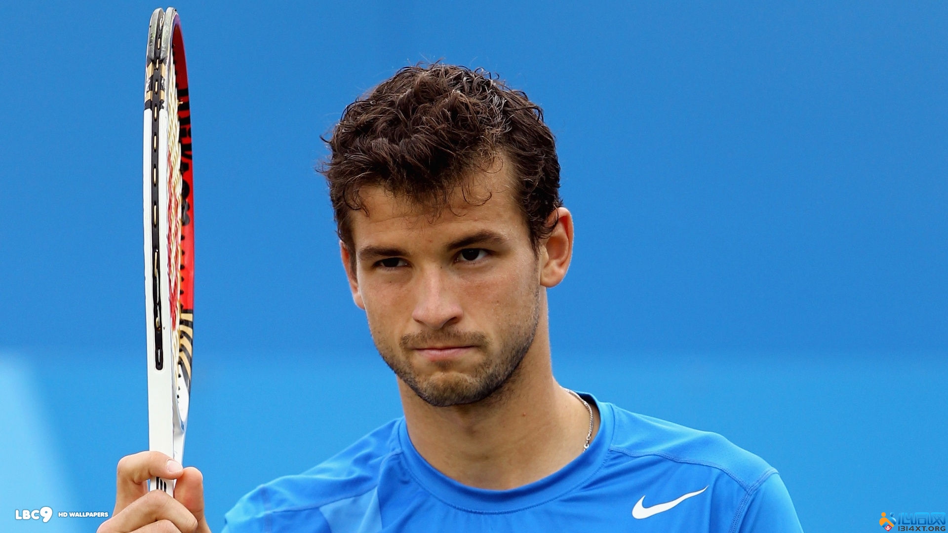 虽然总赔率 虽然总赔率