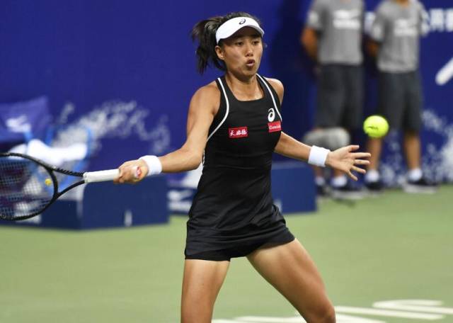 苏炳添将继 苏炳添将继